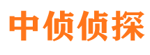 复兴寻人公司